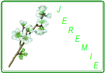 Le prophete Jeremie