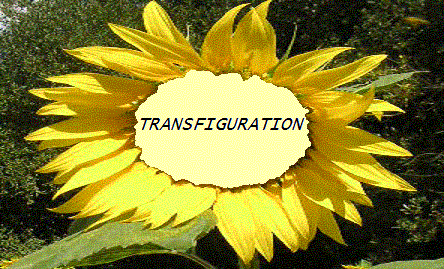 transfiguration