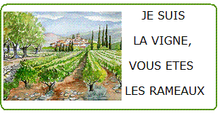 Je suis la vigne, vous êtes les rameaux